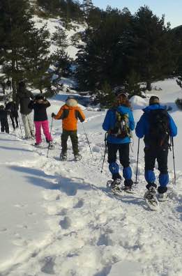 grupo de gente realizando ruta en raquetas de nieve en la Sierra Norte de Madrid