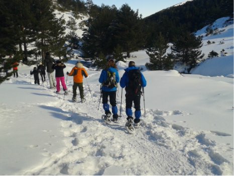 grupo de personas en ruta con raquetas de nieve