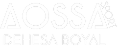 Logo Aossa Sports Dehesa Boyal